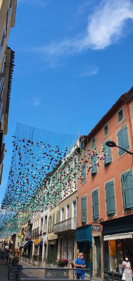 La Villa De L'Olivier Piscine Privee Et Parking 卡尔卡松 外观 照片