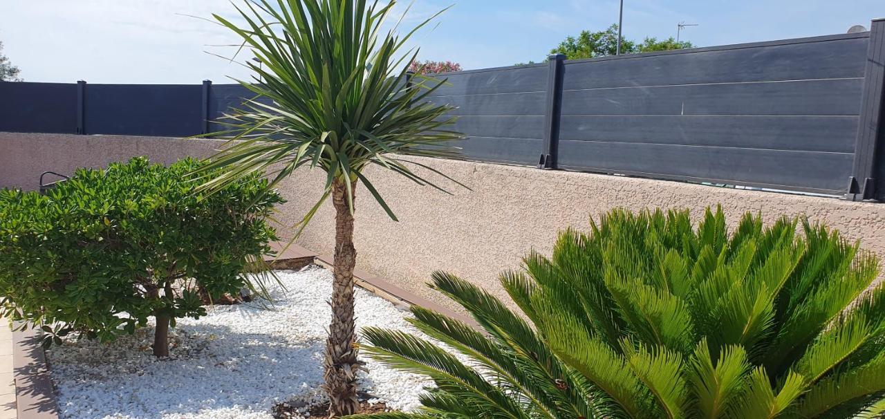 La Villa De L'Olivier Piscine Privee Et Parking 卡尔卡松 外观 照片