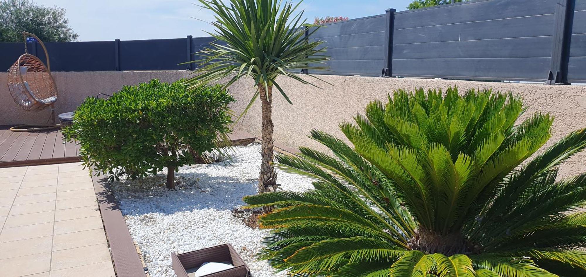 La Villa De L'Olivier Piscine Privee Et Parking 卡尔卡松 外观 照片